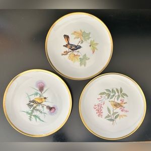 3 Vintage Pasco Audubon bird plates by Lorenz Hutschenreuther of Germany.